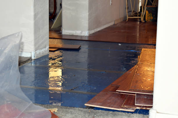 Professional Flood Damage Repair technician working in Fair Haven, MI